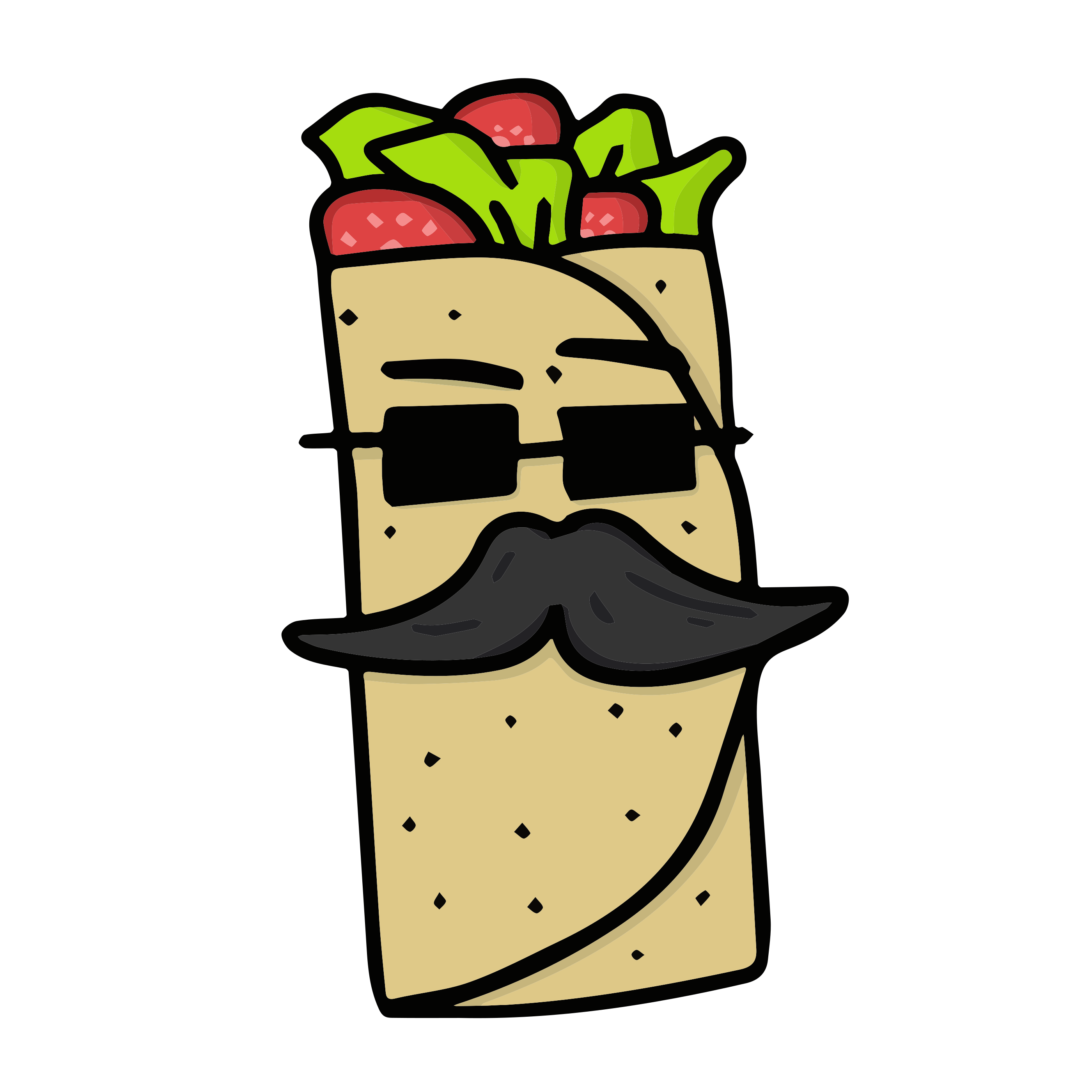 Burrito